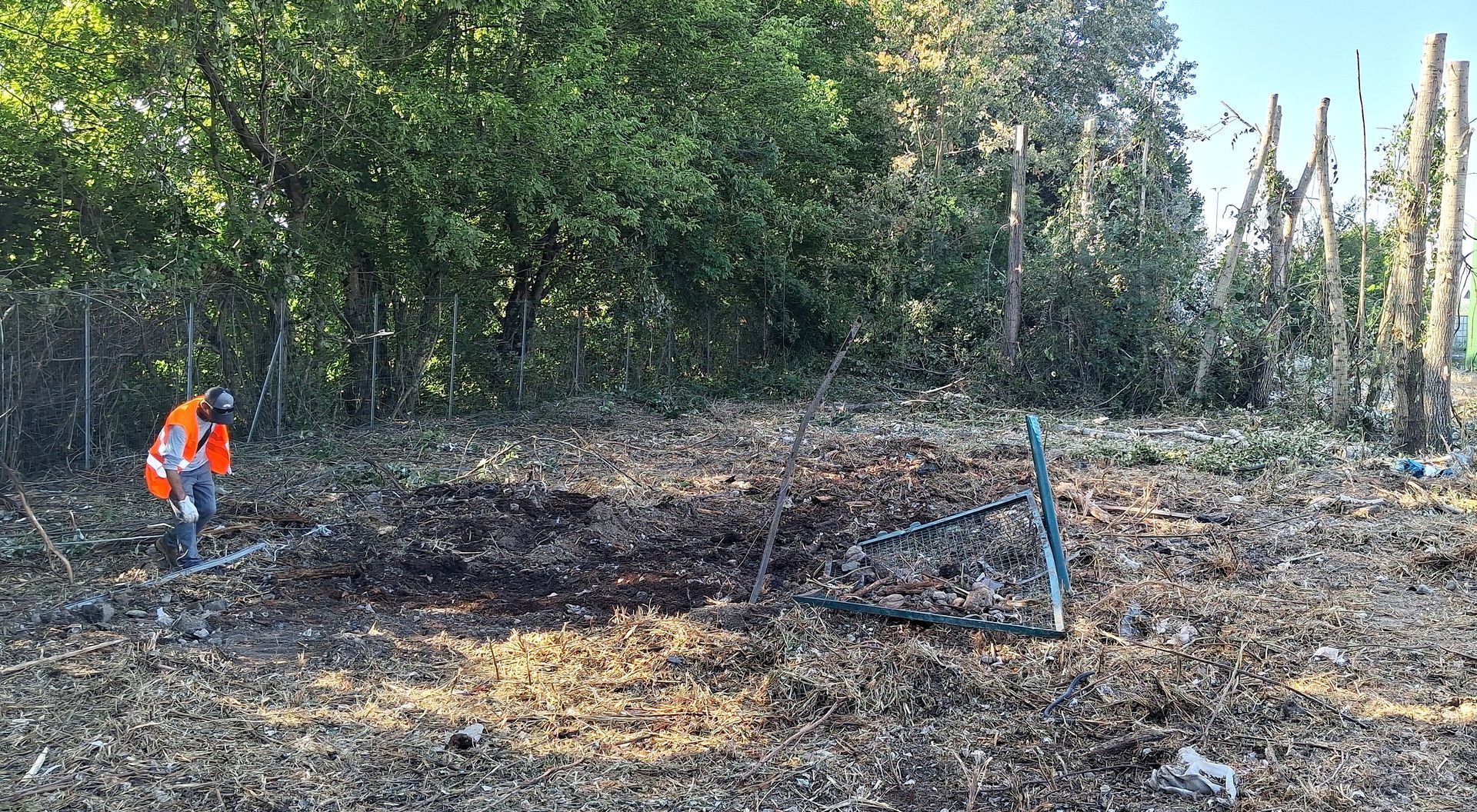 Operaio con giubbotto arancione al lavoro sulla vegetazione vicino agli alberi, nel campo.