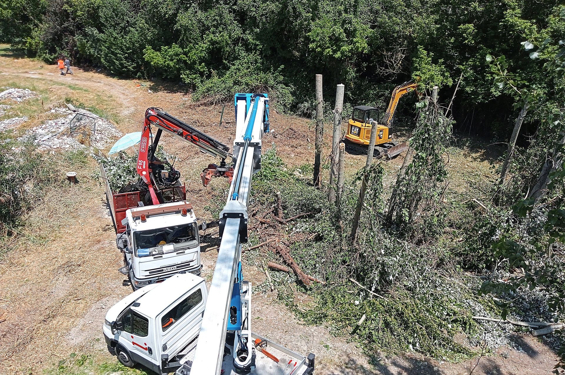 Operazione di abbattimento alberi con macchinari. Camion e un escavatore in una zona boscosa.