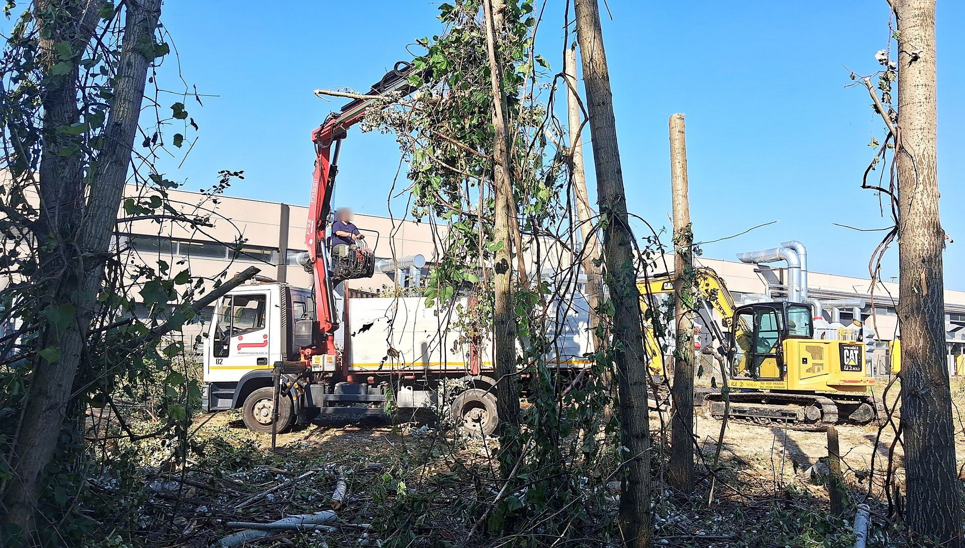 Camion con gru che rimuove rami di alberi, escavatore sul posto, edificio sullo sfondo, cielo sereno.