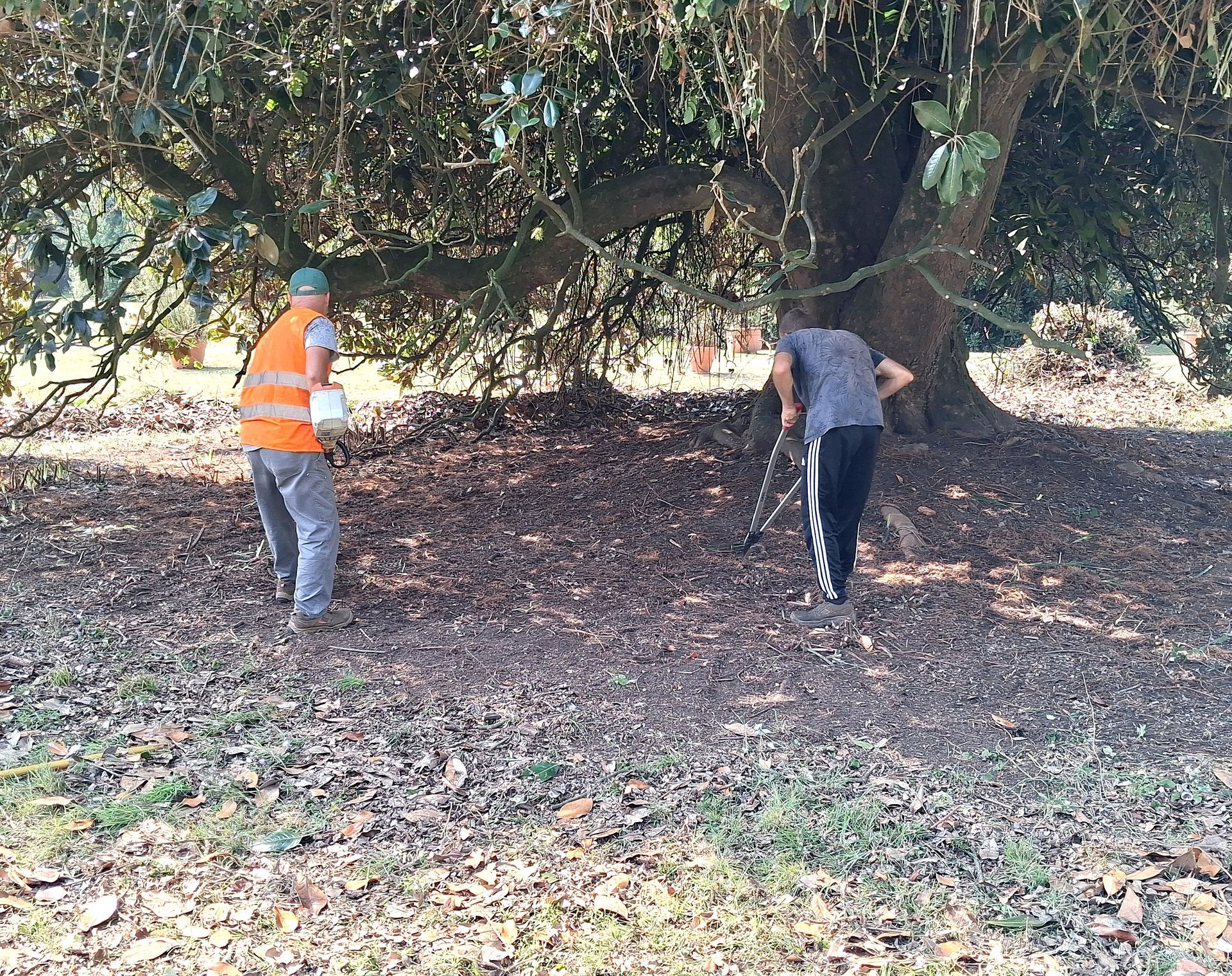 Due persone perlustrano il terreno sotto un grande albero. Una indossa un giubbotto arancione, l'altra usa un metal detector.