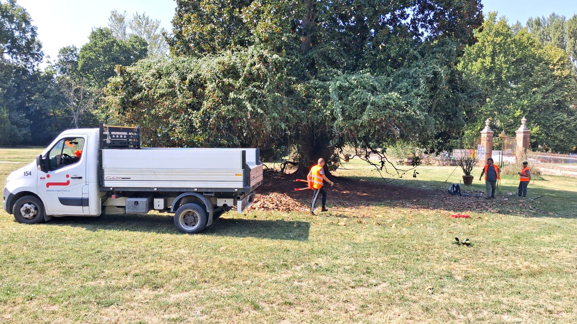 Un camion bianco e operai con giubbotti arancioni vicino a un grande albero, impegnati a rimuovere i detriti in un parco erboso.