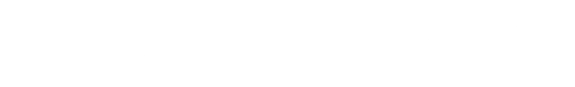 Develomark Internet Marketing Agency