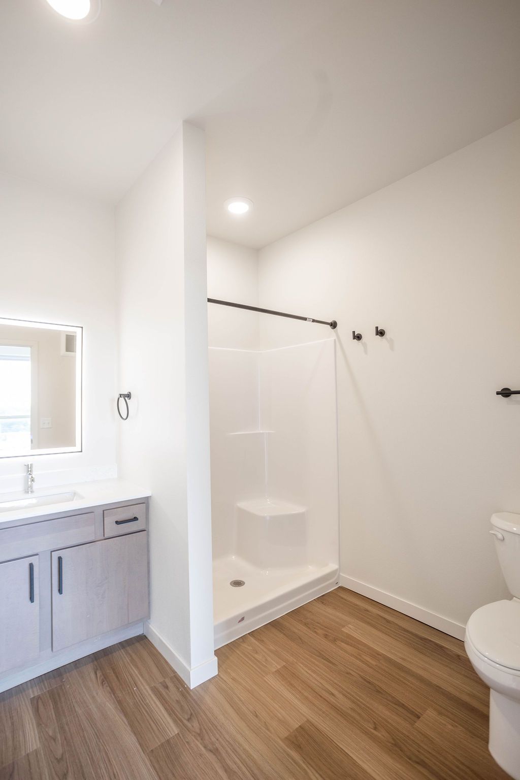 Bathroom with light wood floor, white walls, and a walk-in shower. A vanity and toilet are also present.