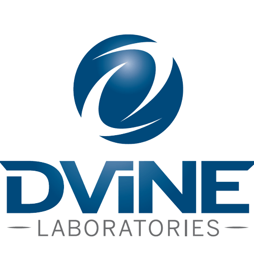 saasy cloud client - dvine labs