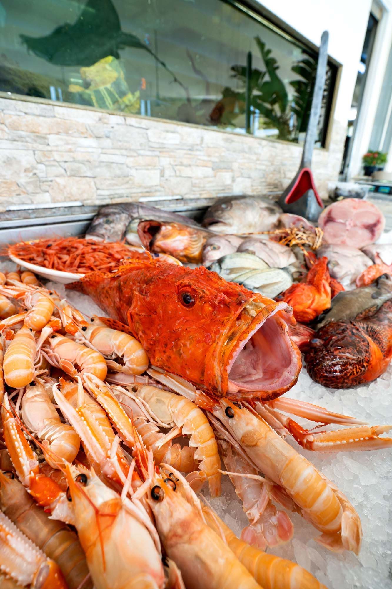 Buffet di frutti di mare con aragosta, gamberi, pesce e crostacei su un tavolo all'aperto.