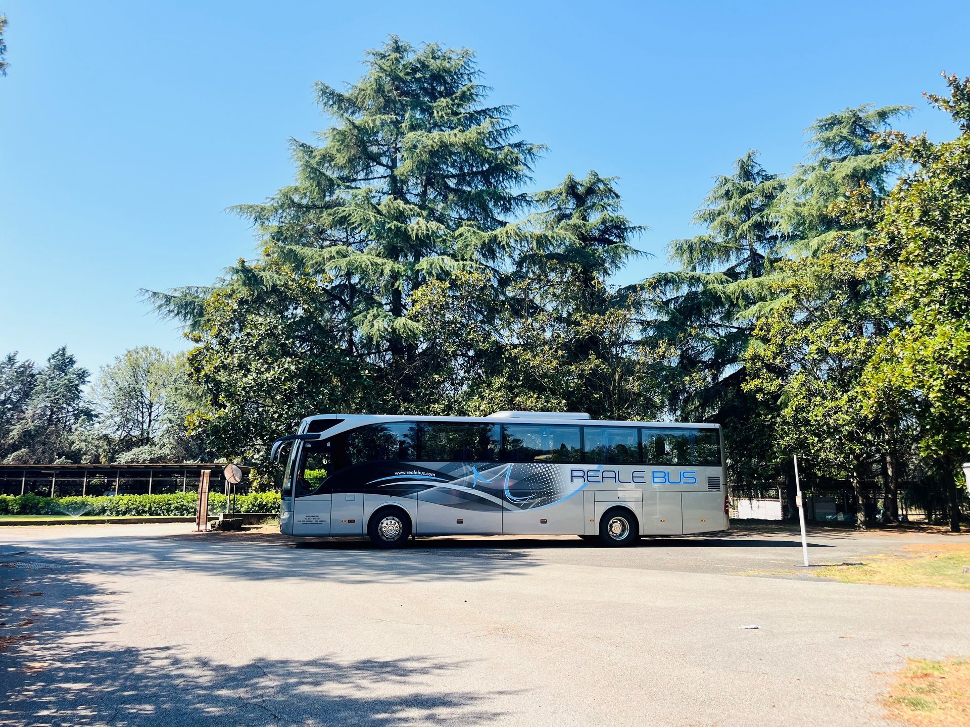Pullman turistico bianco parcheggiato in un piazzale soleggiato con alberi e cielo azzurro limpido sullo sfondo