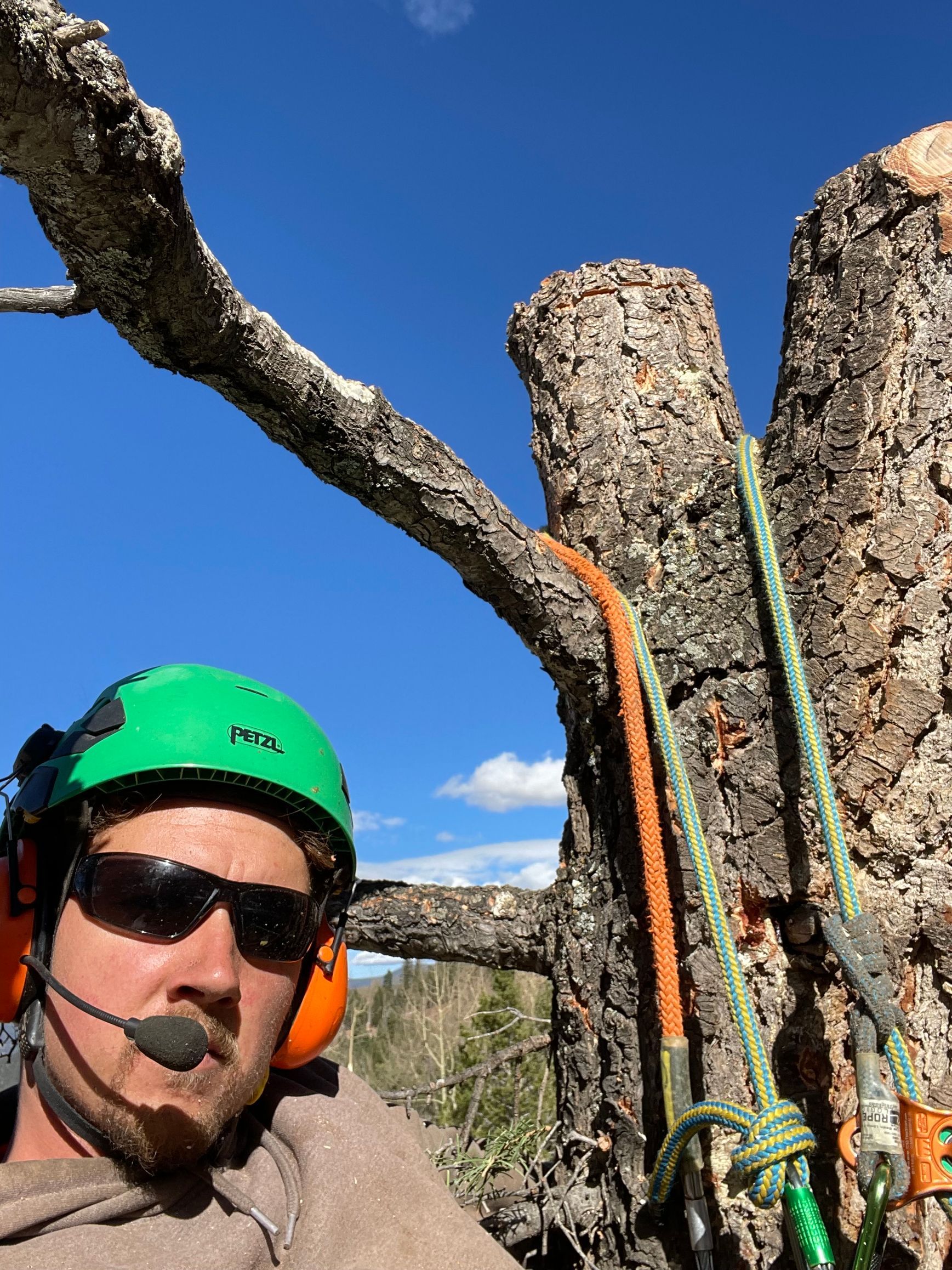 Taos Tree care provider, Bendix Cunnyngham, in front of tree trunk with green hardhat, sunglasses, ear protection and microphone.