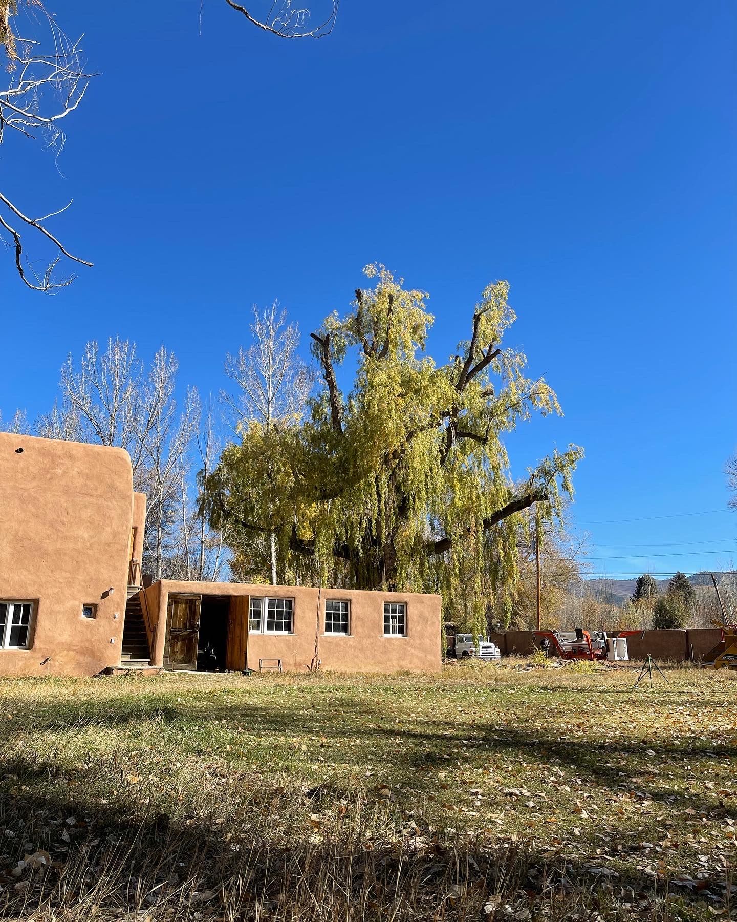 An adobe home in Northern New Mexico with a very large, very tall tree behind it with freshly pruned branches from Taos Tree.