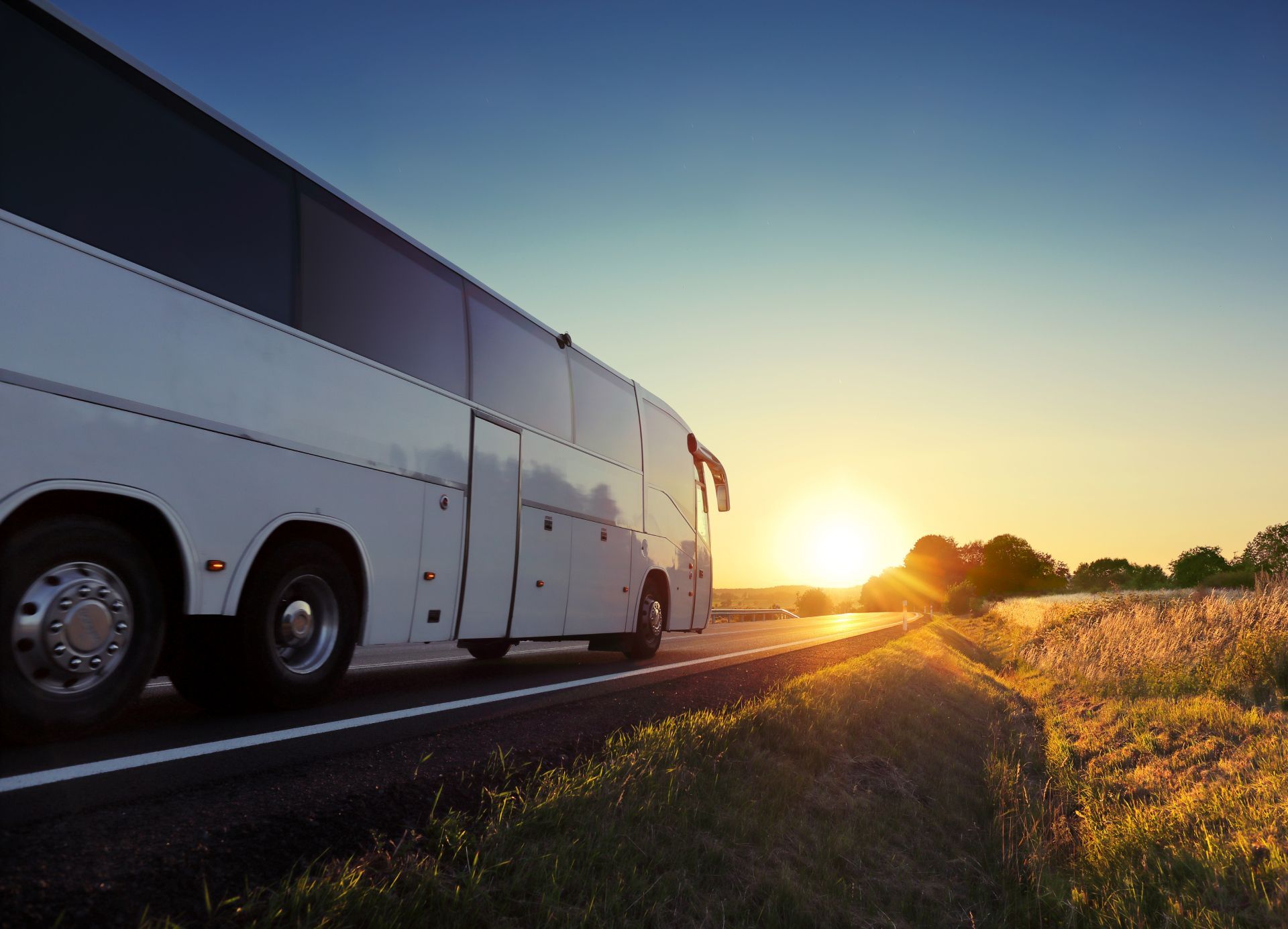 White bus on a road at sunset, driving past grassy fields under a clear sky