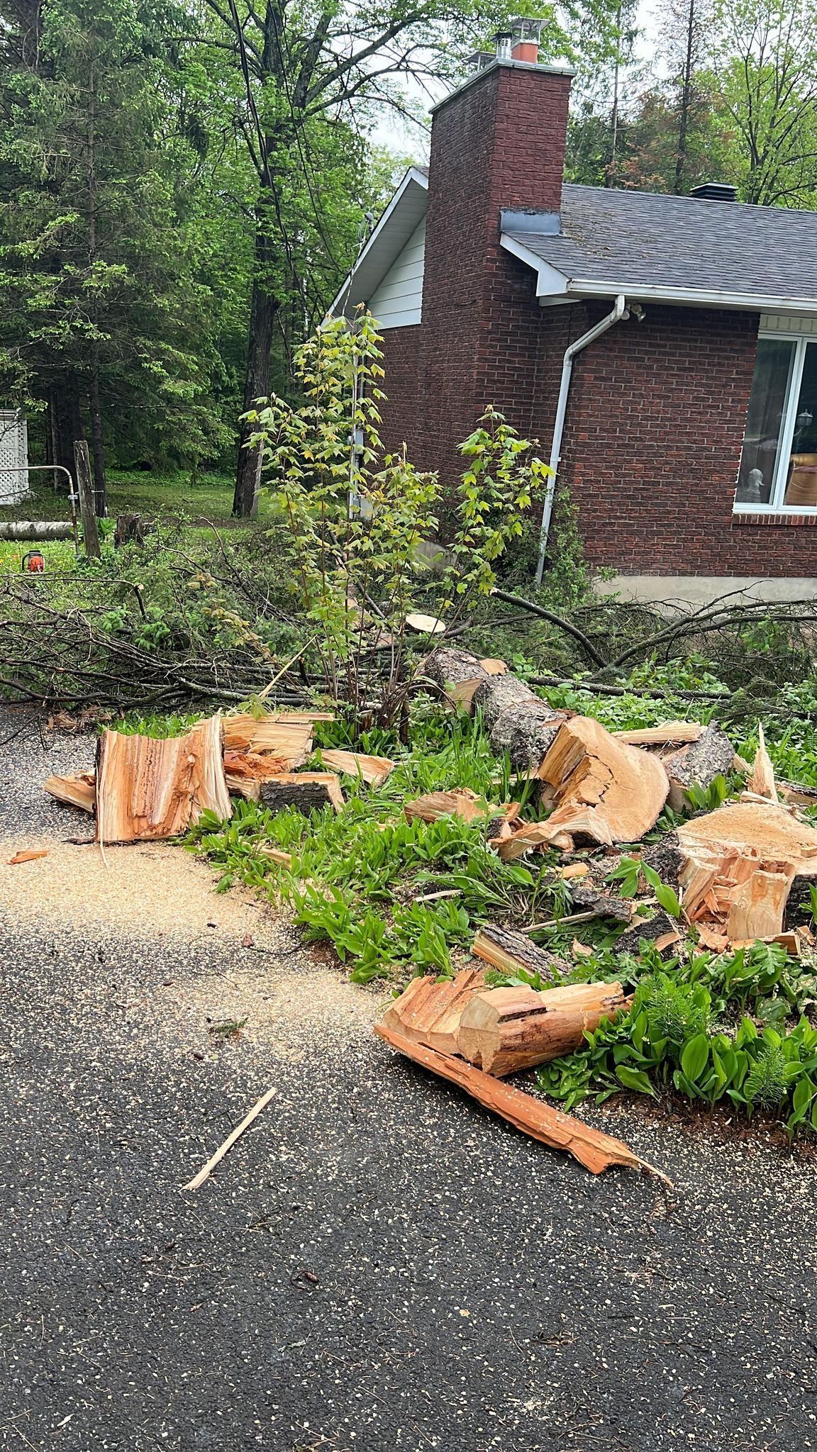 Un tronc d'arbre brisé et des branches éparpillées jonchent une allée près d'une maison après les dégâts causés par la tempête.