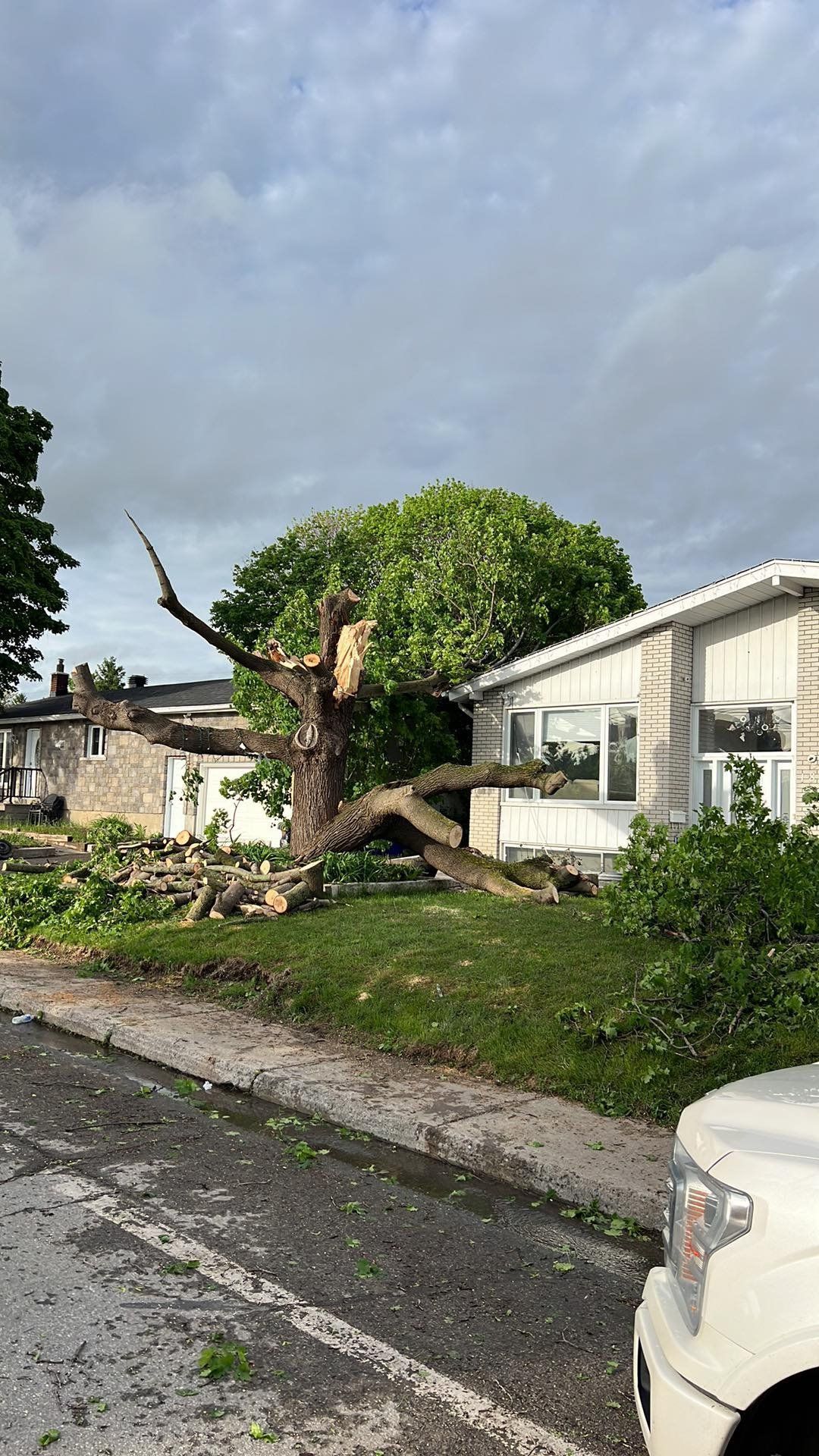 Cour endommagée par la tempête, avec un arbre tombé près d'une maison blanche et un véhicule stationné en bordure de trottoir.