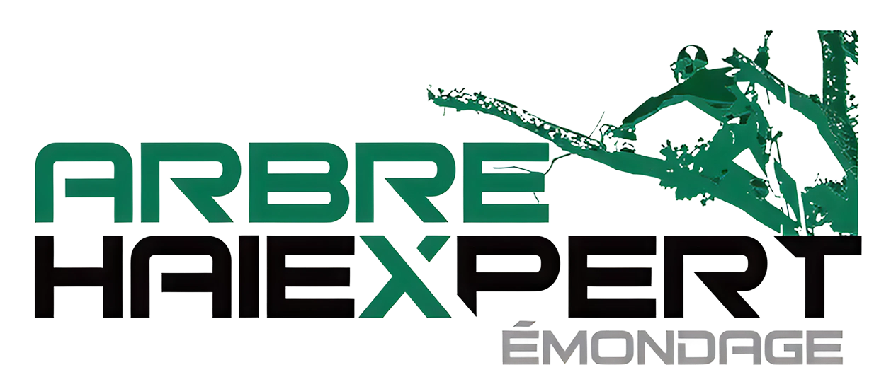 Logo for Arbre Haiexpert Émondage featuring green and black text with a stylized silhouette of a tree trimmer.