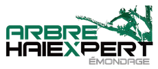 Logo for Arbre Haiexpert Émondage featuring green and black text with a stylized silhouette of a tree trimmer.