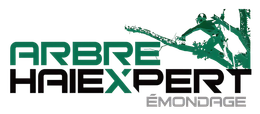 Logo for Arbre Haiexpert Émondage featuring green and black text with a stylized silhouette of a tree trimmer.
