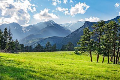 Sunny mountain meadow with green grass, pine trees, and snow-capped peaks under a blue sky