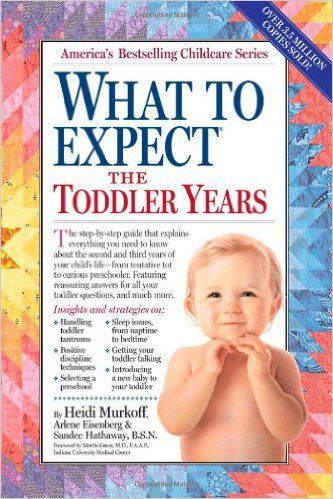 Book cover: “What to Expect the Toddler Years” with a baby on a pink-and-blue patterned border.