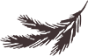 Branch Background