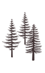 Trees background