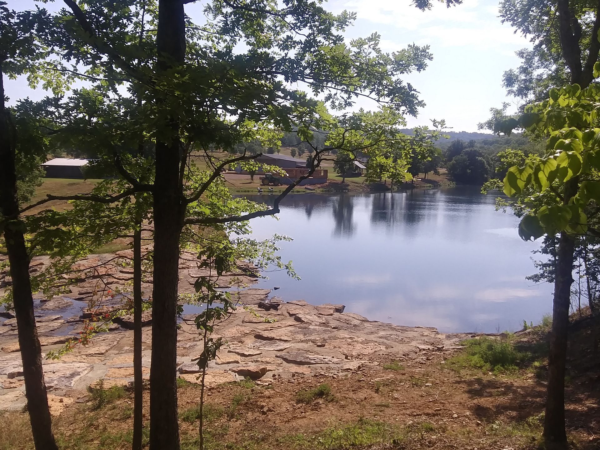 A lake surrounded by trees on a sunny day