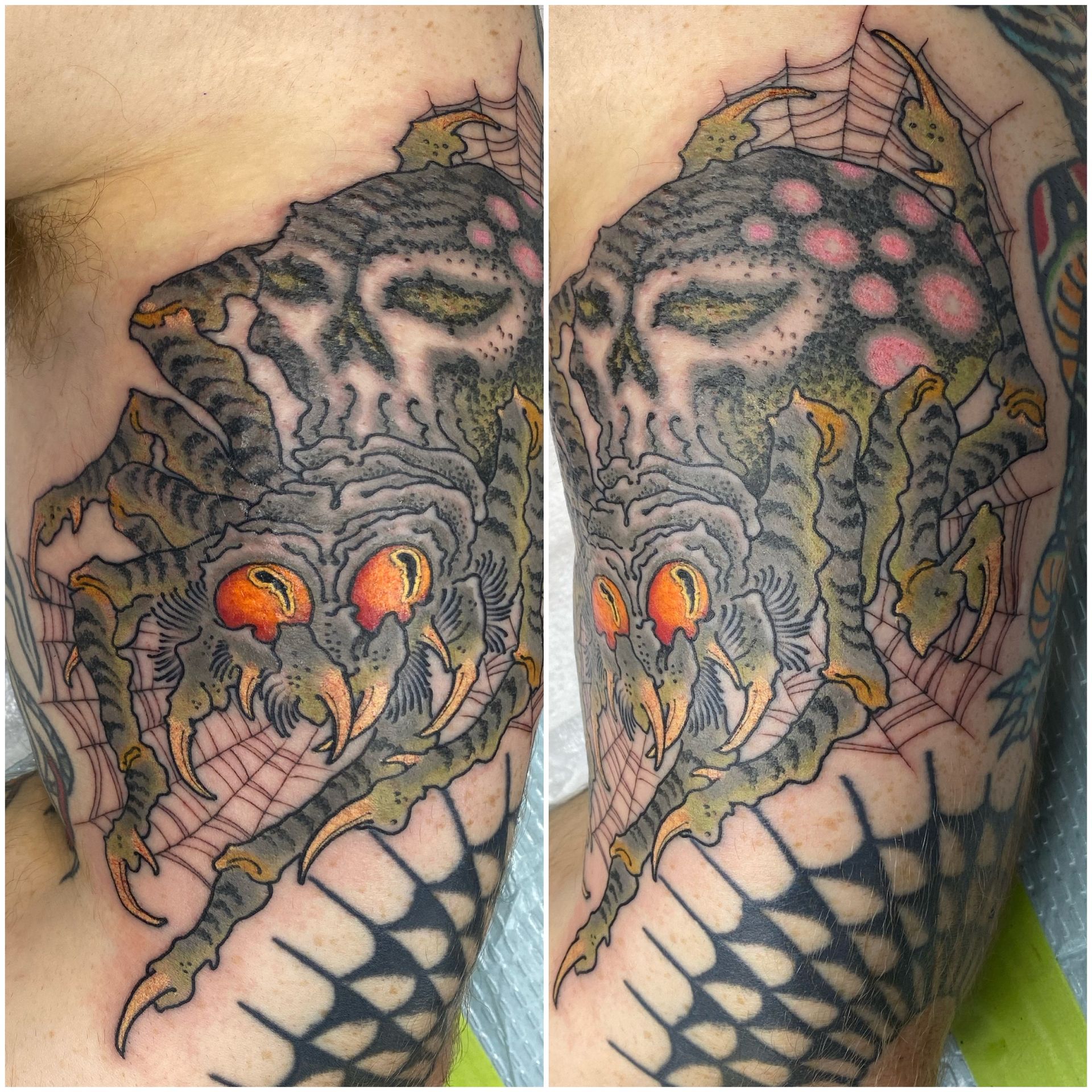 a tattoo of a spider on a person's arm