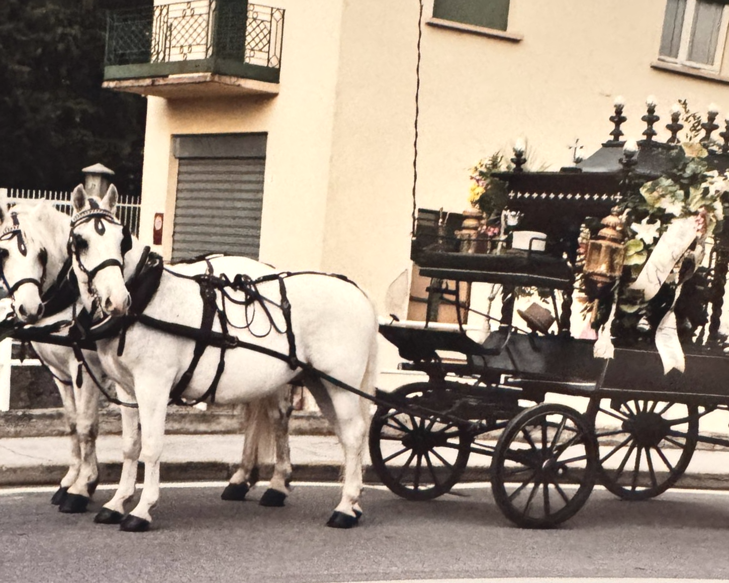 organizzazione funerali a cavallo
