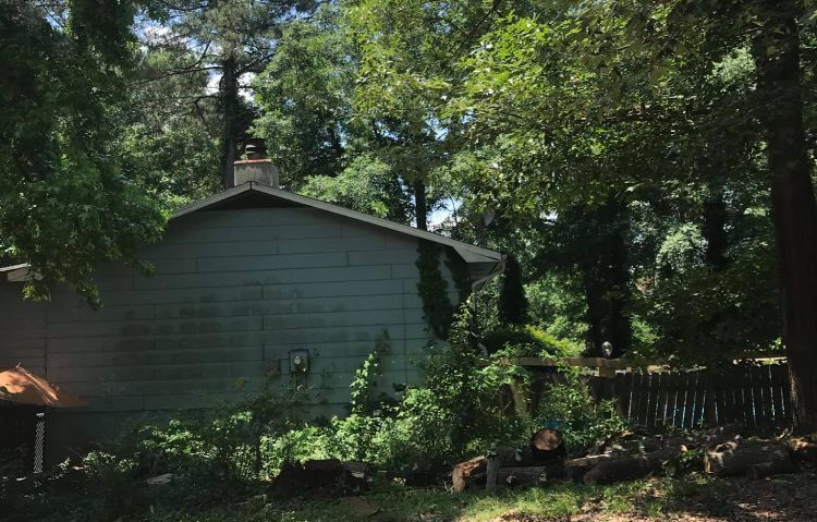 tree cutting and shaping
