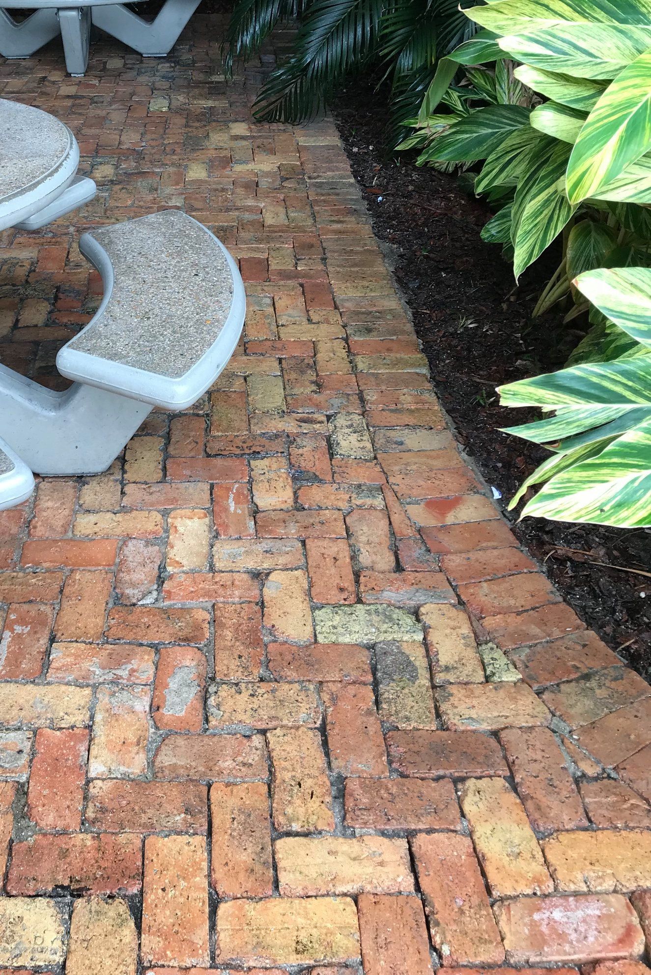 A brick walkway with a picnic table in the background