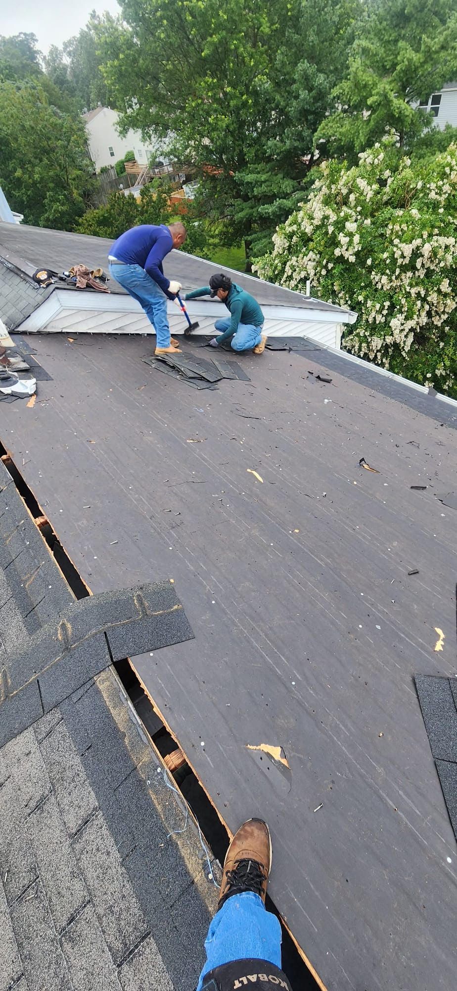 Two people on a roof repairing shingles. Green trees in the background. Close up of work boot.