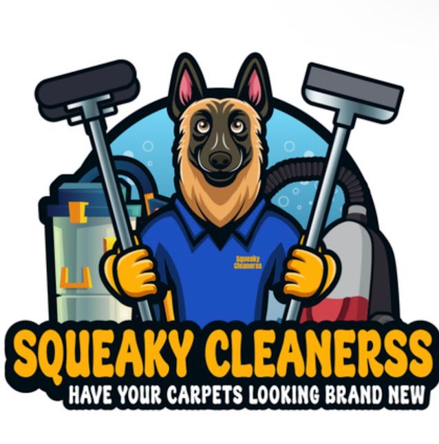 Squeaky Cleanerss