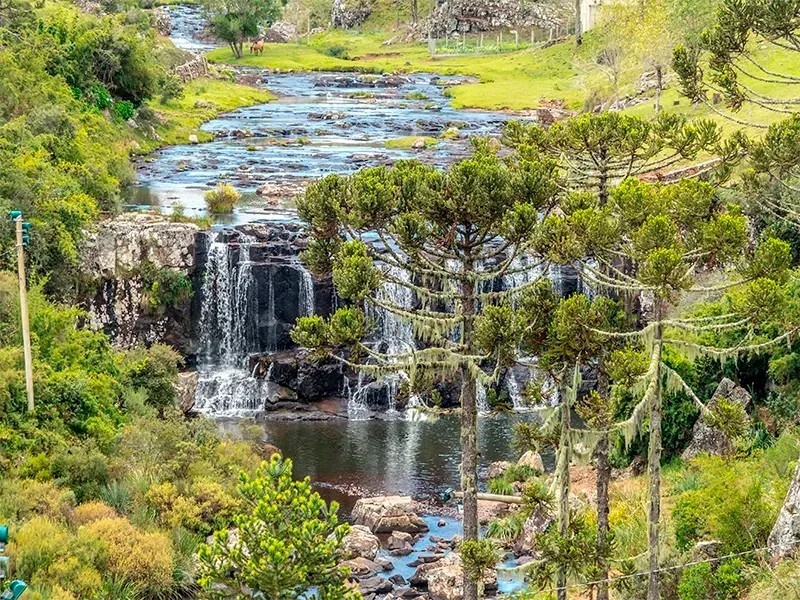 Cachoeira que deságua em um lago rodeado por vegetação exuberante e árvores.