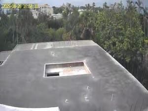Flat rooftop with a rectangular skylight, surrounded by trees under a bright sky.