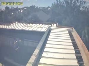 View of a metal-roofed building from above, with trees in the background.