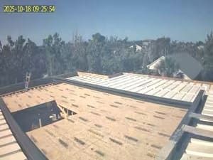 Rooftop under construction with plywood panels, vent pipes, and trees in the background.