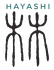 hayashi logo