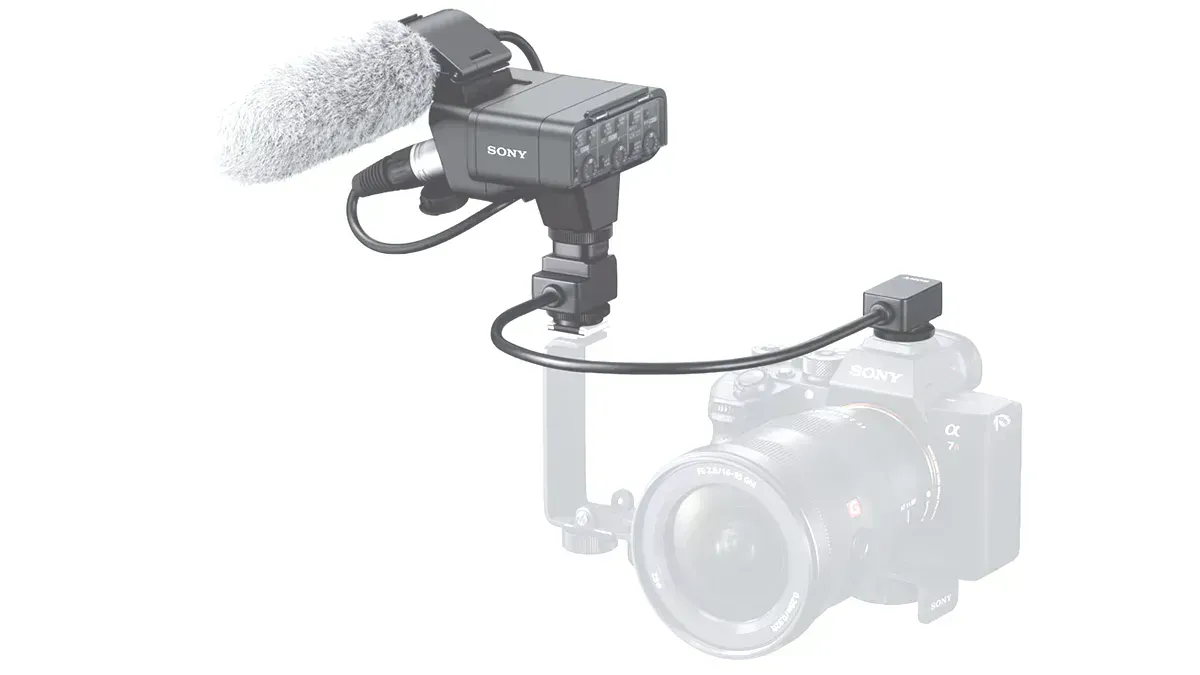 Camera-mounted shotgun microphone with foam windscreen on a DSLR camera rig
