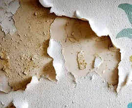 Peeling white paint revealing beige plaster on a damaged wall with cracks and missing chunks