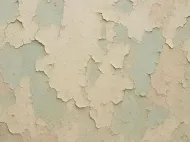 Peeling beige and pale green wall paint with a cracked, weathered texture