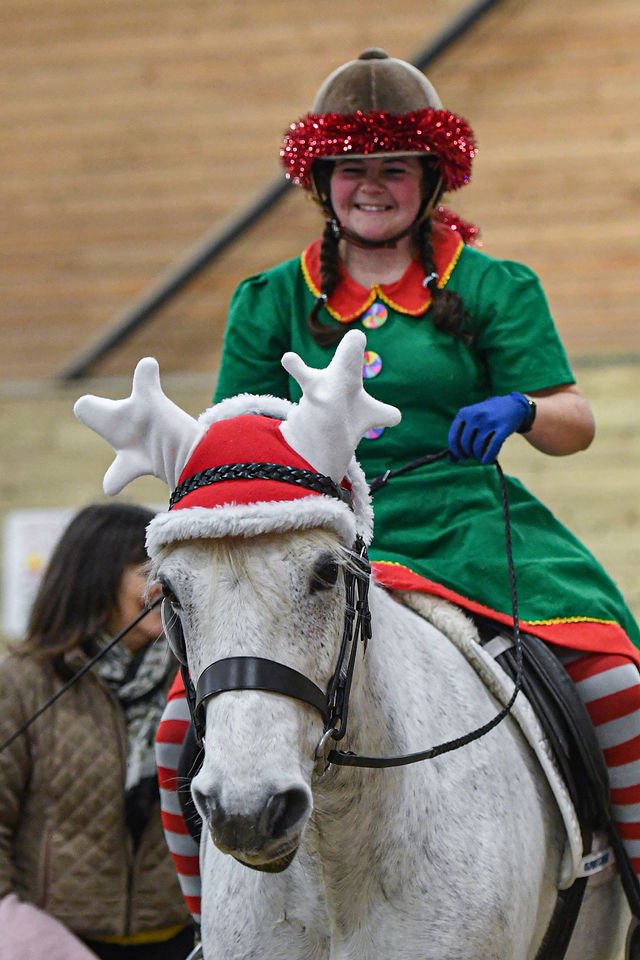 Charlie - Christmas Dressage