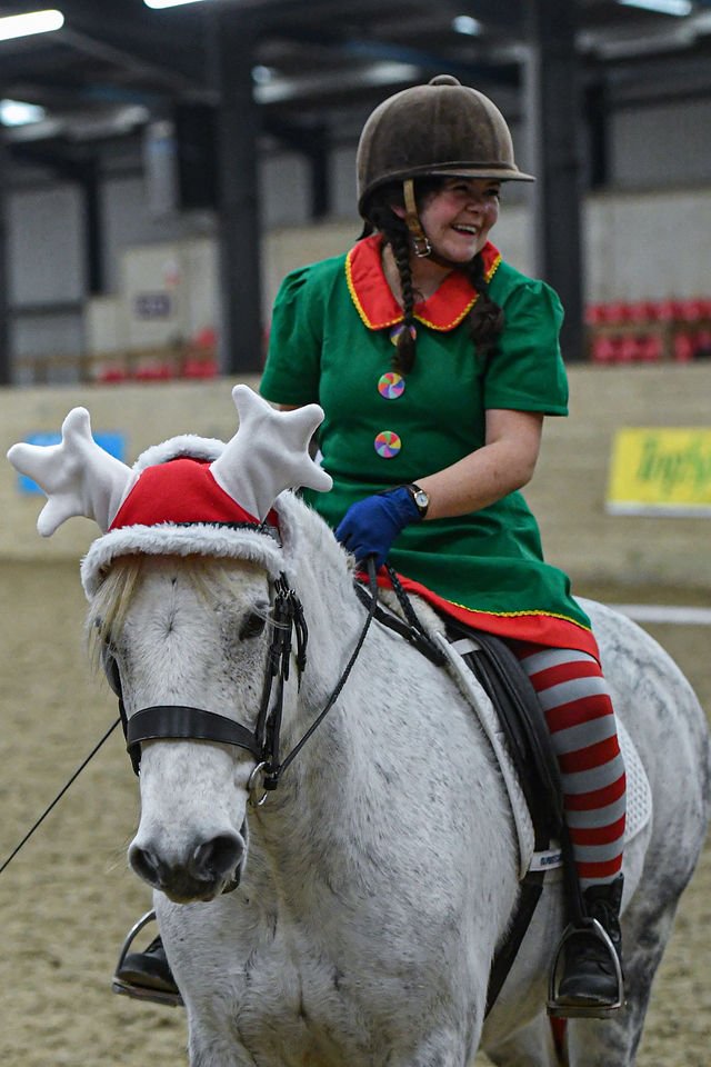 Charlie Christmas Dressage 2021