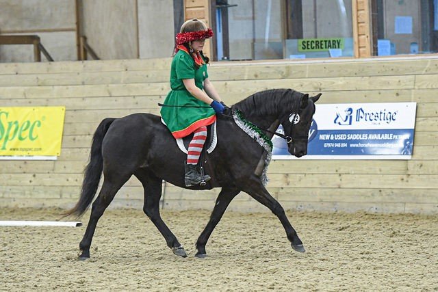 Show day