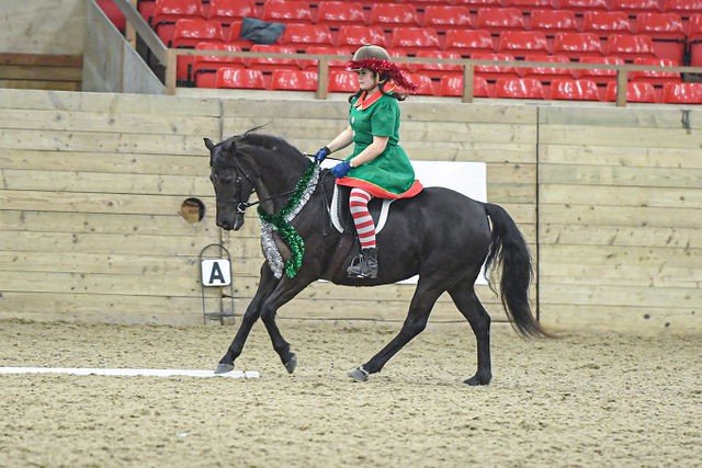 Dressage detail