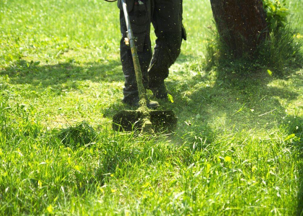 A Person in Dark Pants Uses a String Trimmer to Cut Tall Green Grass — Old Mates Grass Cutters in Deeragun, QLD