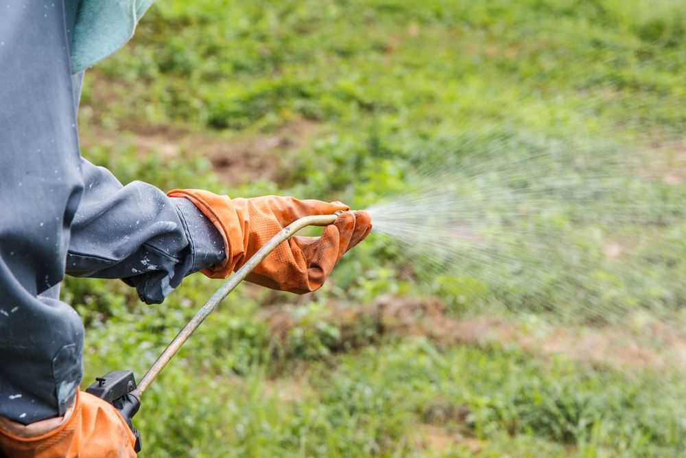 A Person in Protective Gear and Orange Gloves Sprays a Mist of Chemicals — Old Mates Grass Cutters in Deeragun, QLD