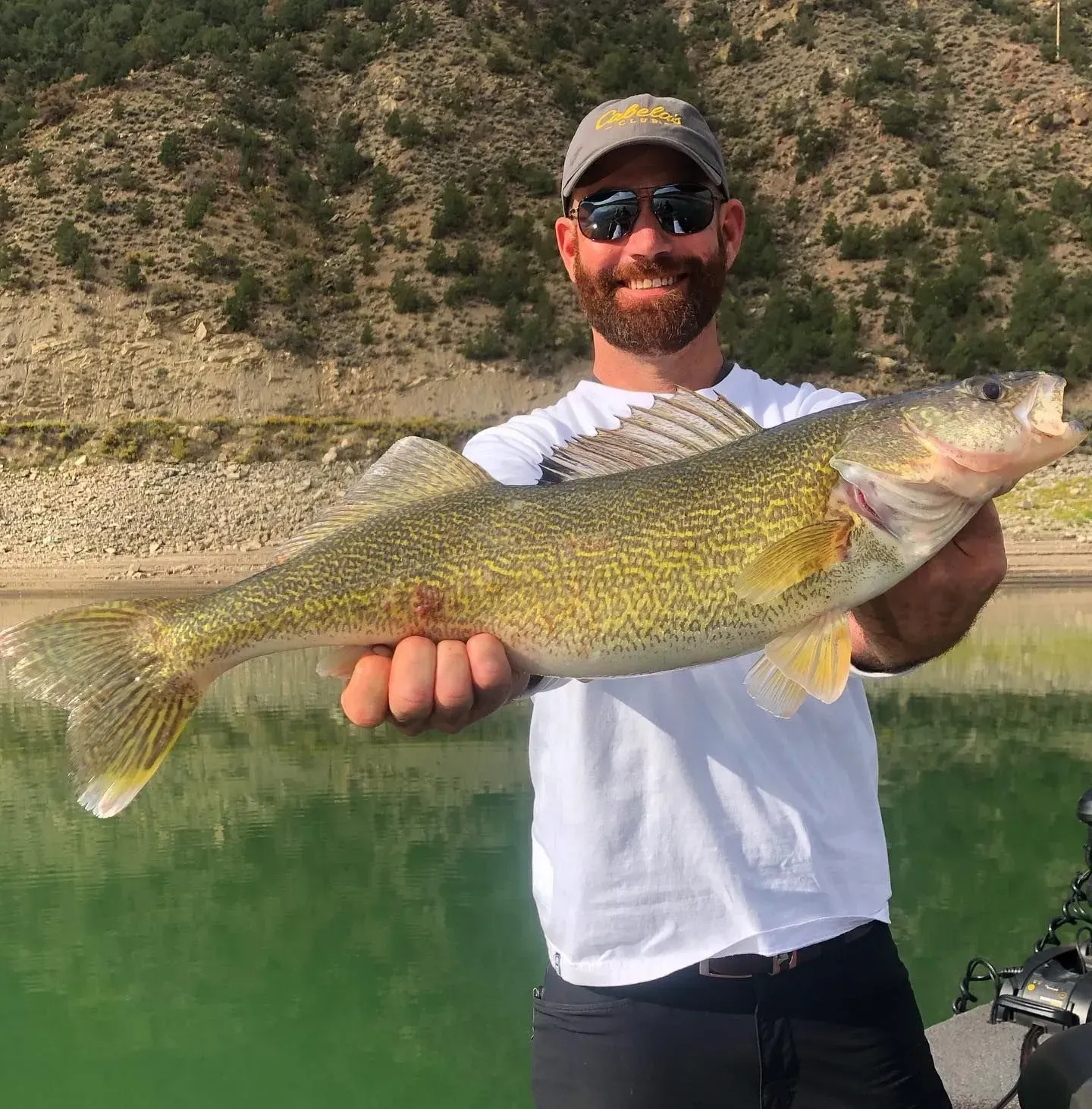 Man smiling, holding large walleye fish on boat, green water, mountain backdrop.