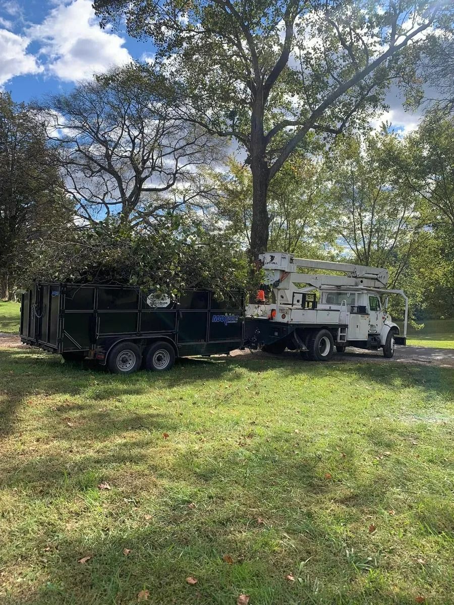 A truck and trailer are parked in a grassy field next to a tree.