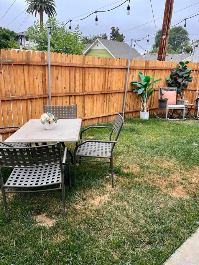 Backyard patio with table, chairs, string lights, potted plants, and a small dog on the table