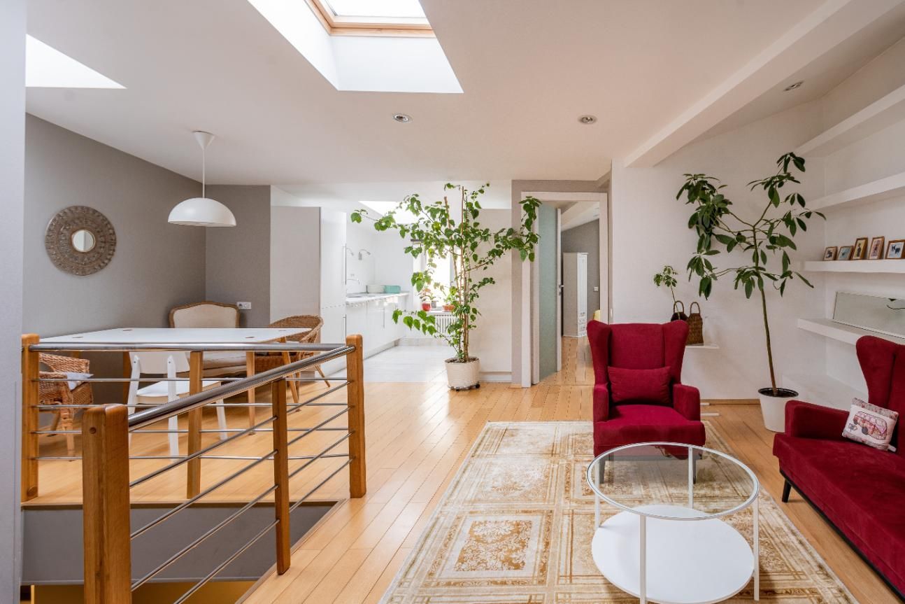 Bright modern living room with skylight, red chairs, white rug, and plants