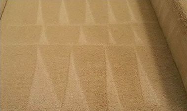 Beige carpeted floor in a hallway or room corner with light reflections and wall edges visible
