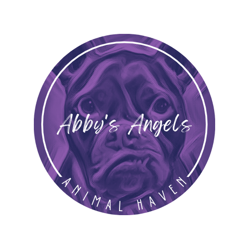 Dog rescue near me, pet adoption service near me, non-profit organization serving bedford pa, somerset pa, altoona pa, everett pa, breezewood pa, new paris pa, alum bank pa, johnstown pa, altoona pa, huntingdon pa, cumberland md, state college pa, portage pa, cresson pa, fulton county pa, schellsburg pa, new paris, pa, bedford county, pa