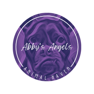 Dog rescue near me, pet adoption service near me, non-profit organization serving bedford pa, somerset pa, altoona pa, everett pa, breezewood pa, new paris pa, alum bank pa, johnstown pa, altoona pa, huntingdon pa, cumberland md, state college pa, portage pa, cresson pa, fulton county pa, schellsburg pa, new paris, pa, bedford county, pa